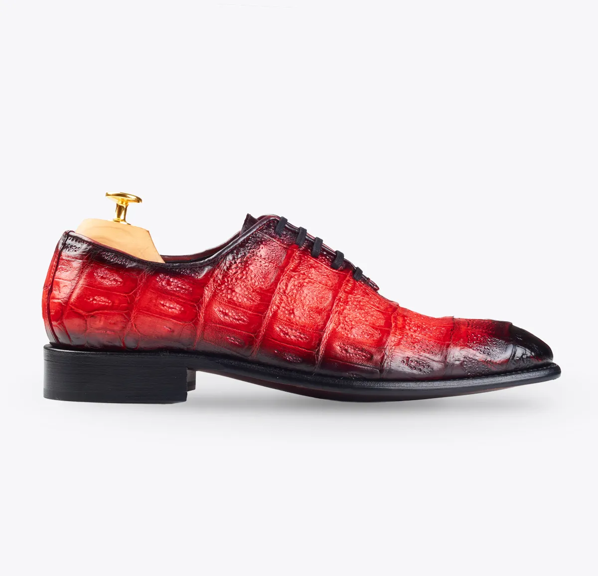 0065 Cocodrilo rojo