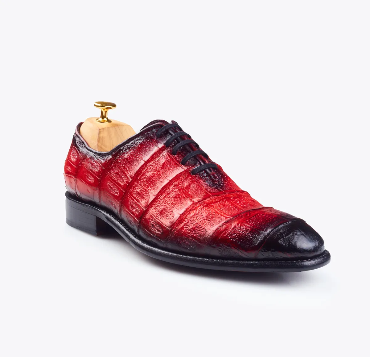 0065 Cocodrilo rojo