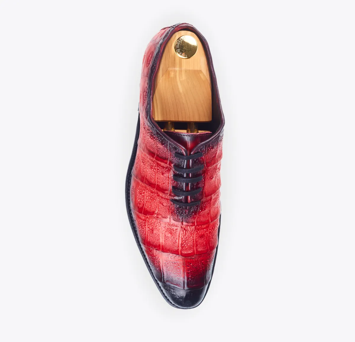0065 Cocodrilo rojo