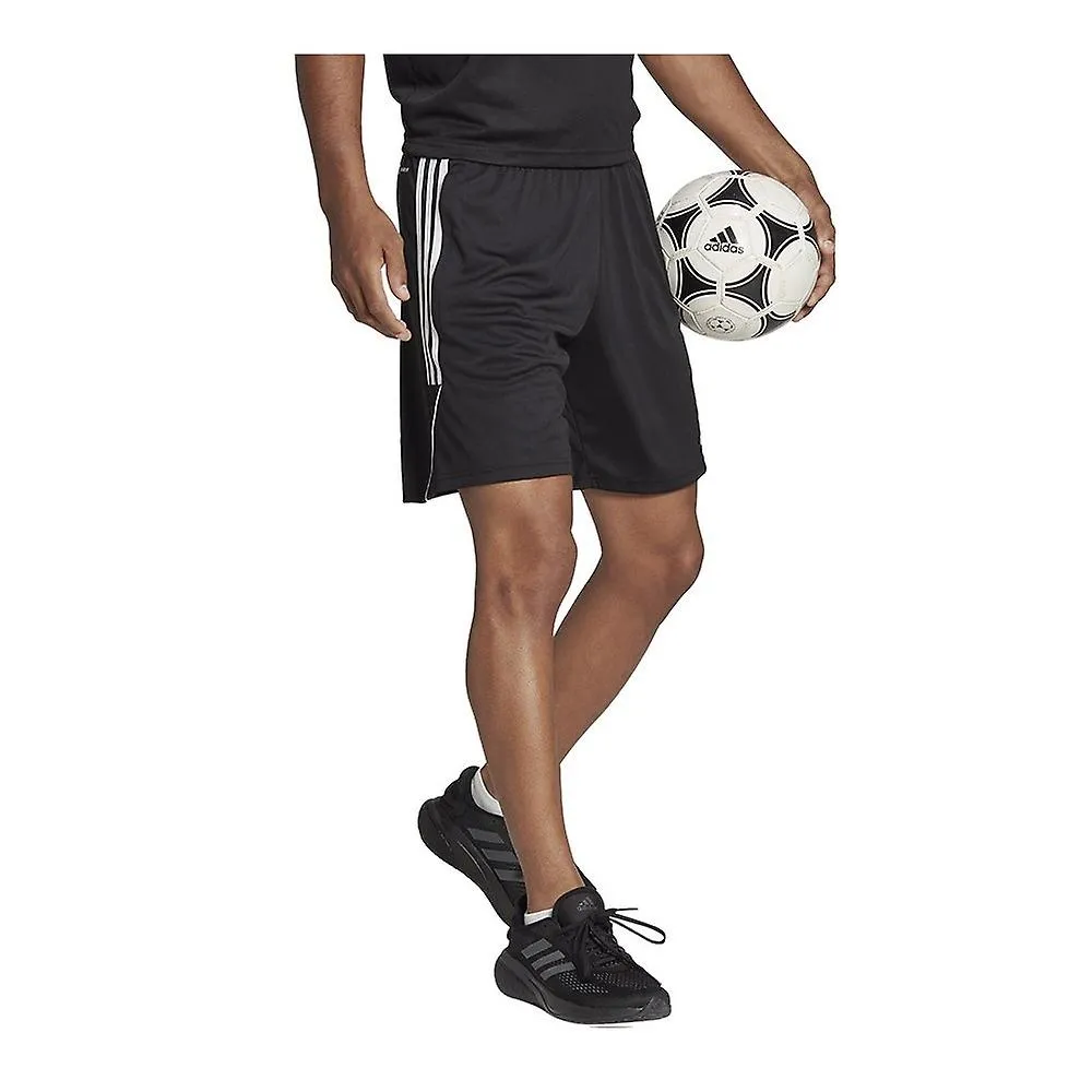 Adidas HS0319 entrenamiento todo el año hombre