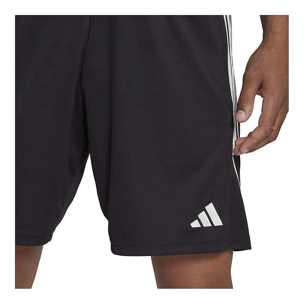 Adidas HS0319 entrenamiento todo el año hombre
