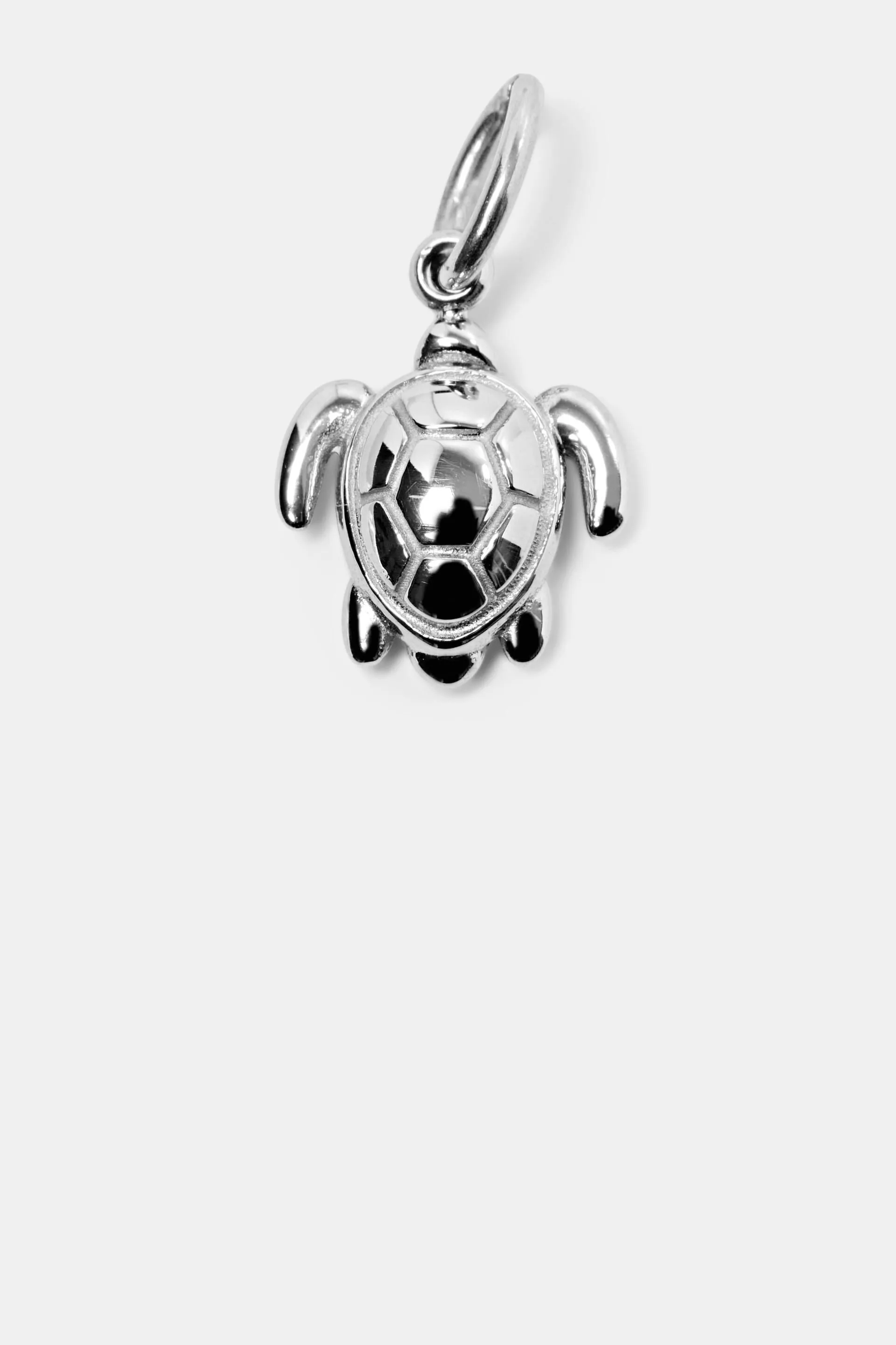 Charm de acero inoxidable con forma de tortuga