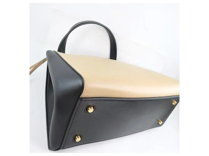 Céline edge Multicolor 