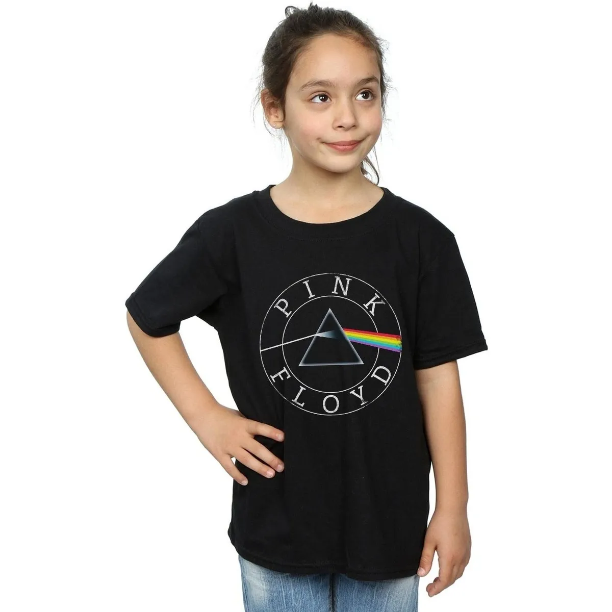 Prism Circle Logo